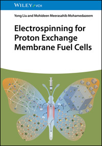 Electrospinning for Proton Exchange Membrane Fuel Cells - Yong Liu - E-Book