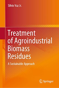 Treatment of Agroindustrial Biomass Residues - Sílvio Vaz Jr. - E-Book