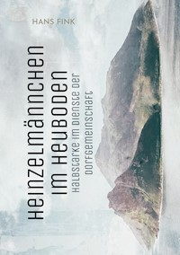 Heinzelmännchen im Heuboden - Hans Fink - E-Book