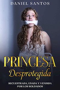 Princesa Desprotegida - Daniel Santos - E-Book