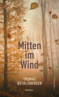 Mitten im Wind - Röthlisberger Thomas - E-Book