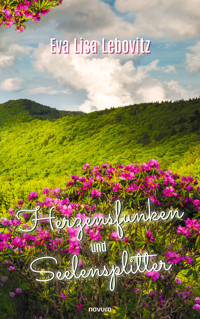 Herzensfunken und Seelensplitter - Eva Lisa Lebovitz - E-Book
