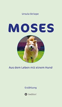 Moses - Aus dem Leben mit einem Hund - Ursula Striepe - E-Book