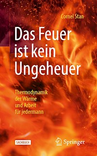 Das Feuer ist kein Ungeheuer - Cornel Stan - E-Book