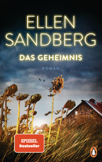 Das Geheimnis - Ellen Sandberg - E-Book