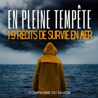 En Pleine Tempête - 19 récits de survie en mer - John Mac - Hörbuch