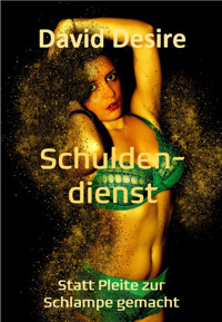 Schuldendienst - David Desire - E-Book