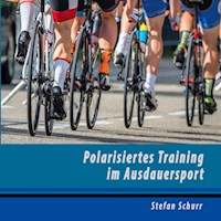 Polarisiertes Training im Ausdauersport - Stefan Schurr - E-Book