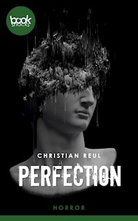 Perfection - Christian Reul - E-Book