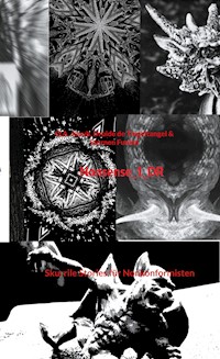 Nonsense_1_DR - Q.A. Juyub - E-Book