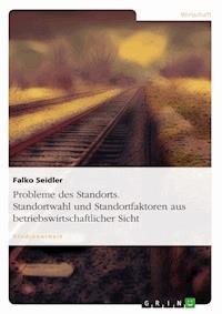 Probleme des Standorts. Standortwahl und Standortfaktoren aus betriebswirtschaftlicher Sicht - Falko Seidler - E-Book