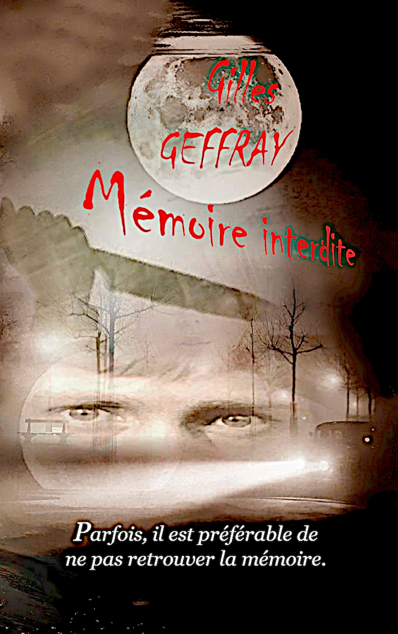 Mémoire interdite - Gilles Geffray - E-Book