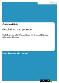 Geschnitten und gedruckt - Christian Rödig - E-Book