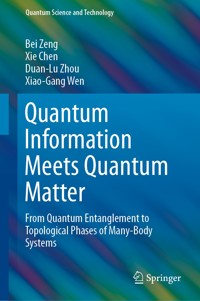 Quantum Information Meets Quantum Matter - Bei Zeng - E-Book