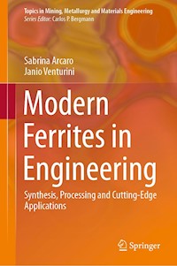 Modern Ferrites in Engineering - Sabrina Arcaro - E-Book
