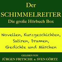 Der Schimmelreiter – sowie zahlreiche weitere Meisterwerke der Weltliteratur - Theodor Storm - Hörbuch