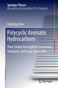 Polycyclic Aromatic Hydrocarbons - Huizhong Shen - E-Book