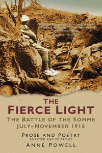 The Fierce Light -  - E-Book