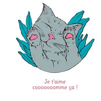Je t'aime cooooooomme ça ! - Illustré par Anne Bory - Urs Richle - E-Book