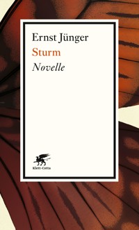 Sturm - Ernst Jünger - E-Book