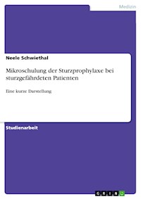 Mikroschulung der Sturzprophylaxe bei sturzgefährdeten Patienten - Neele Schwiethal - E-Book