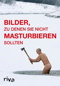 Bilder, zu denen Sie nicht masturbieren sollten - Graham Johnson - E-Book
