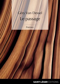 Le passage - Géry Van Dessel - E-Book