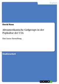 Afroamerikanische Girlgroups in der Popkultur der USA - David Rose - E-Book