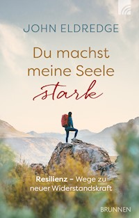 Du machst meine Seele stark - John Eldredge - E-Book