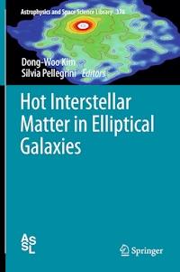 Hot Interstellar Matter in Elliptical Galaxies - - E-Book