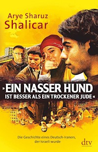»Ein nasser Hund ist besser als ein trockener Jude« - Arye Sharuz Shalicar - E-Book