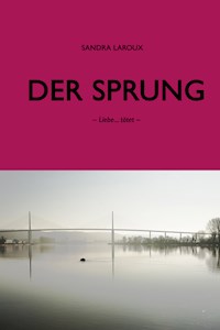 Der Sprung - Sandra Laroux - E-Book