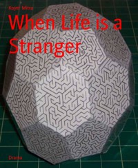 When Life is a Stranger - Koyel Mitra - E-Book