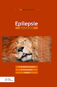 Epilepsie - Boudewijn Gunning - E-Book