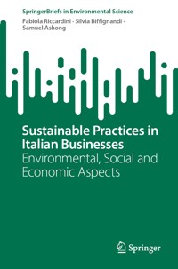 Sustainable Practices in Italian Businesses - Fabiola Riccardini - E-Book