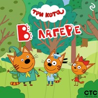 Три кота. В лагере - авторов Коллектив - Hörbuch