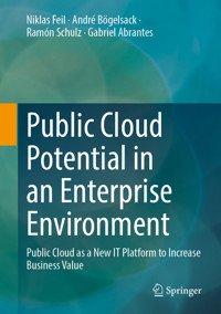 Public Cloud Potential in an Enterprise Environment - Niklas Feil - E-Book