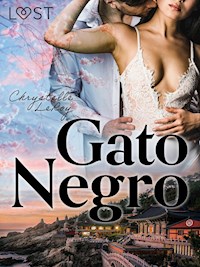Gato Negro - Chrystelle LeRoy - E-Book
