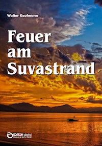 Feuer am Suvastrand - Walter Kaufmann - E-Book