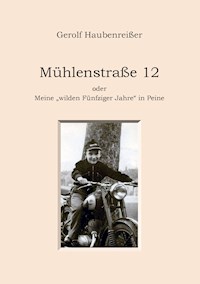 Mühlenstraße 12 - Gerolf Haubenreißer - E-Book