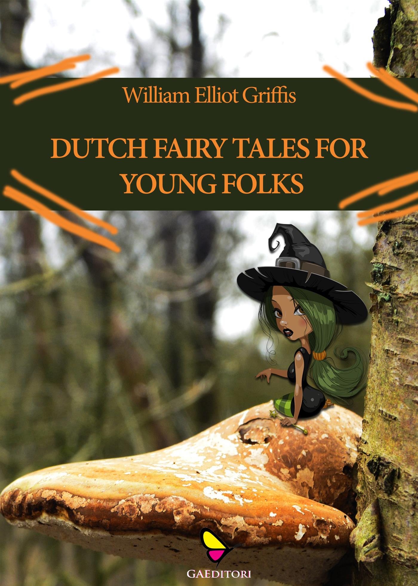 Dutch fairy tales for young folks - William Elliot Griffis - E-Book