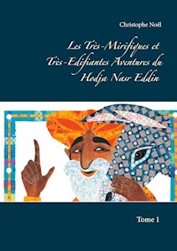 Les Très-Mirifiques et Très-Edifiantes  Aventures du Hodja Nasr Eddin - Christophe Noel - E-Book