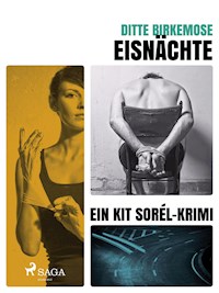 Eisnächte - Ditte Birkemose - E-Book