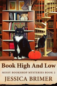 Book High And Low - Jessica Brimer - E-Book