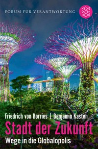 Stadt der Zukunft – Wege in die Globalopolis - Friedrich von Borries - E-Book