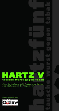 Hartz V - OUTLAW gGmbH Musik und Farbe hinter Gittern - E-Book