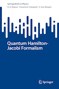 Quantum Hamilton-Jacobi Formalism - A. K. Kapoor - E-Book