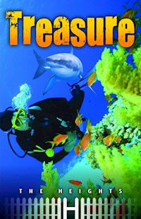 Treasure -  - E-Book