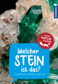 Welcher Stein ist das? Kindernaturführer - Dr. Rupert Hochleitner - E-Book