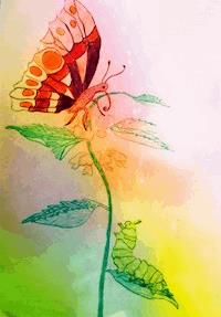 Die Raupe Frieda und Fridolin der Schmetterling - Wolfgang Grunow-Lietz - E-Book